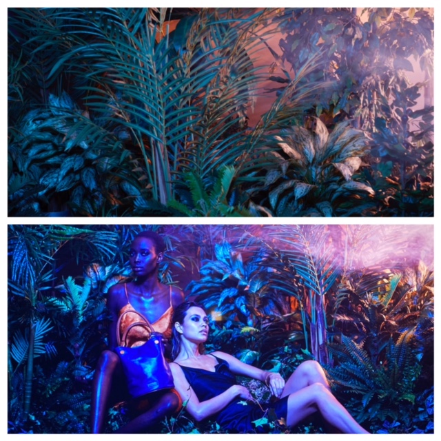 Rent-A-Jungle - Themed Rentals - Photography Tropical Backdrops